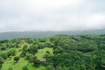 Obraz premium 高知県土佐清水市 唐人駄場遺跡の風景