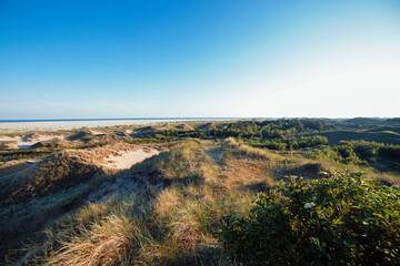 Panoramic seascape view, green vegetation on rolling coastal sand dunes.