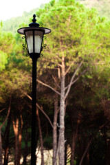 Decorative Street Lamp in the Forest