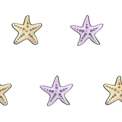 Watercolor hand drawn pattern with coral, starfish, sea star in sketch style on white background