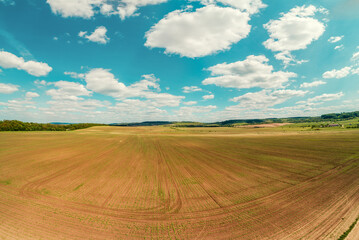 Obraz premium Rural landscape, farmland, aerial view. View of the plowed field in spring