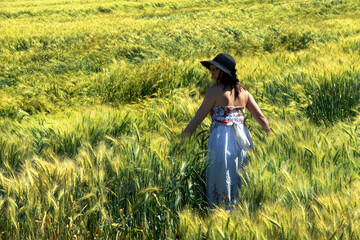 young adult beautiful woman in wheat field of rural landscape in sunny day