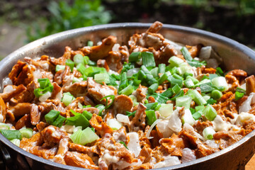 fried mushrooms. chanterelles with onions and herbs in a pan
