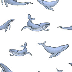 Fototapeta premium Watercolor hand drawn pattern with whale on white background
