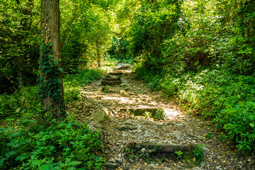 Path leading to the Rocca di Garda, Verona - Italy