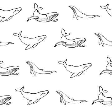 Line art hand drawn pattern with whale on white background