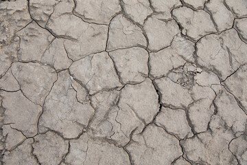 the dried soil