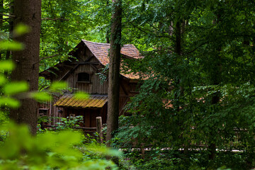 tree houses in forest