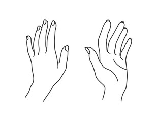 Vector line art illustration of hands