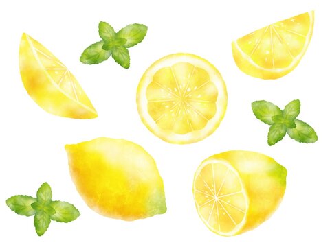 1 193 最適な レモンの輪切り 画像 ストック写真 ベクター Adobe Stock