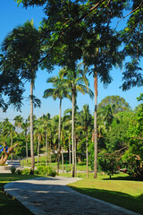 Pathway at CCF Mount Makiling Recreation Center in Santo Tomas, Batangas, Philippines