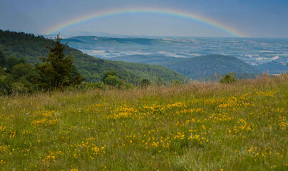 Regenbogen in den vogesen