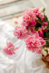 Fototapeta na wymiar bouquet of peonies at home