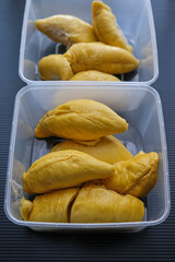 King of Fruits - Musang King Durian