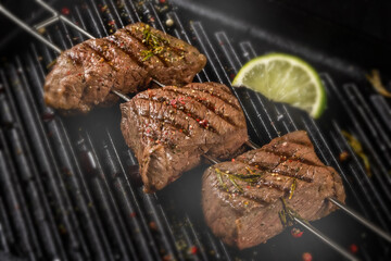 串焼きバーベキュー　Skewers barbecue to enjoy outdoors 