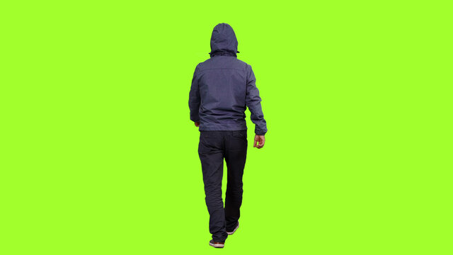 Back view of a hooded man walks on green screen background, Chroma key