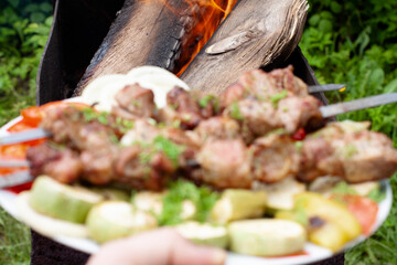 a tray with meat on skewers sprinkled with herbs on grilled vegetables
