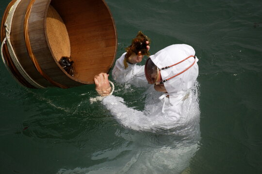 三重県伊勢湾の海女の作業風景