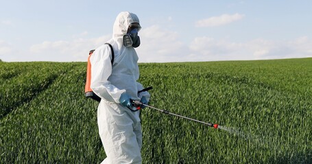 Male farmer in white protective clothes, gloves, mask and goggles walking the green field and...