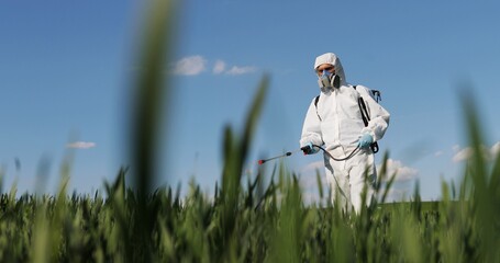 Close up of male farmer in white protective costume walking in greengrass in field and spraying pesticides with pulverizator. Man fumigating harvest with chemicals. Fumigate concept. © VAKSMANV
