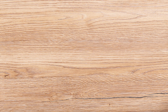 Tangential Bilder Durchsuchen 155 Archivfotos, und