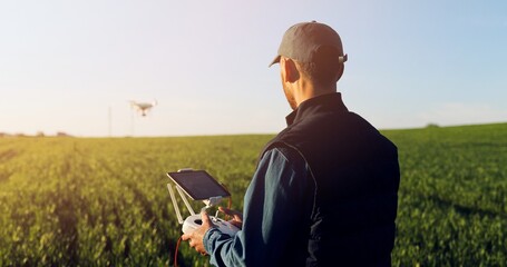 Caucasian man farmer in hat standing in green wheat field and controlling of drone which flying...