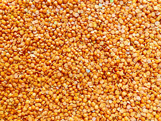 raw red lentil texture background
