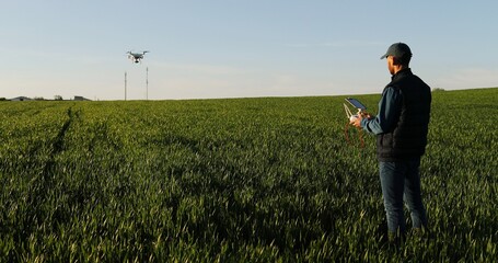 Rear of Caucasian man farmer in hat standing in green wheat field and controlling of drone which flying above margin. Back view on male using tablet device as controller. Technologies in agriculture.