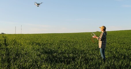 Caucasian woman farmer in hat standing in green wheat field and controlling of drone which flying above margin. Female using tablet device as controller. Technologies in farming. Rear. Back view.