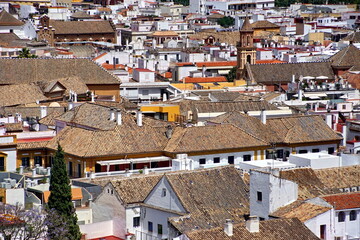 Aerial view of the old quarters and the roofs of Seville. Spain. Andalusia.