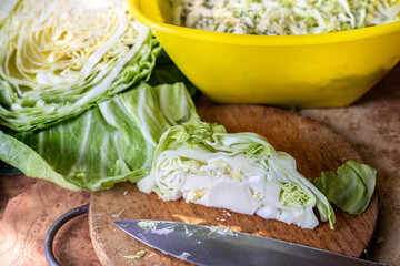 Sliced cabbage for salad.