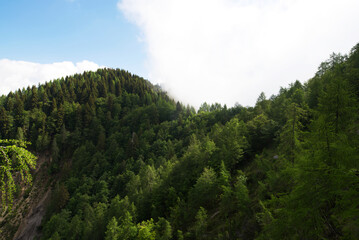 Monte Tersadia salendo da Paluzza.