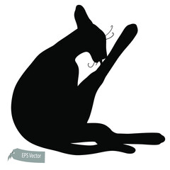 Cat illustration. Vector. Total black silhouette. Cartoon style. Can be used for prints, presentations or illustrations