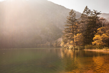 Autumn in the mountains at Nikko, Japan