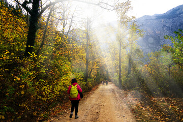 Landscape image of dirt countryside dirt road with colorful autumn leaves and trees in forest of Mersin, Turkey