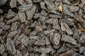Wood pieces closeup. Natural background and texture