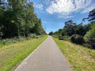 Bicycle path between forest and blue sky