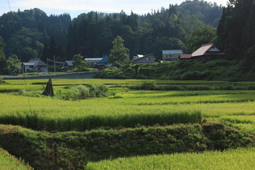 日本の農村。田畑。自然。里山。