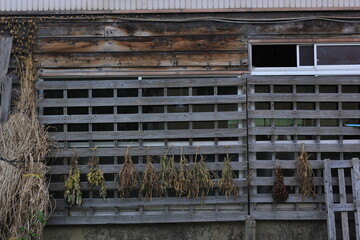 日本の田舎。暮らし。
