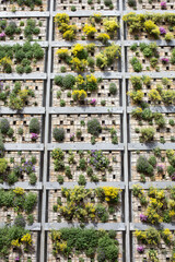 Moderne grüne Architektur und Fassadengestaltung: Gesundes Bauen mit begrünten Fassaden, Pflanzenwänden - ein vertikaler Garten mit blühenden Pflanzen montiert auf einer Aluminium Modulkonstruktion