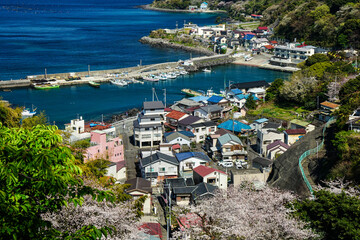 A small port town in Japan in the beginning of spring., surrounded by cherry blossom (sakura) trees.