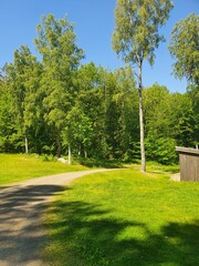 Obraz premium path in the park