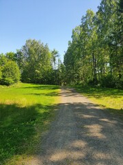path in the park