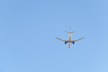 Turkey. Turkish Culture. Sights and nature of Turkey. Sea. The sun. Palms. Beach. Hotel.