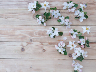 Fototapeta na wymiar White flowers on a wooden background, flowering tree on an old wooden background. View from above 