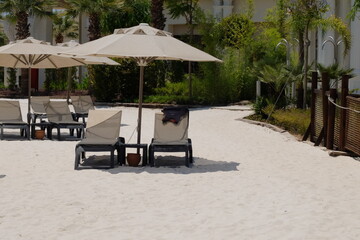 Turkey. Turkish Culture. Sights and nature of Turkey. Sea. The sun. Palms. Beach. Hotel.