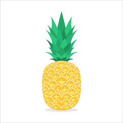 pineapple fruit vector illustration. summer fruits, for a healthy and natural life. flat color style
