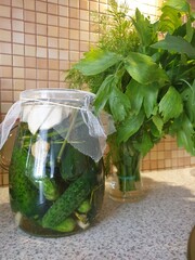 cucumber in glass jar