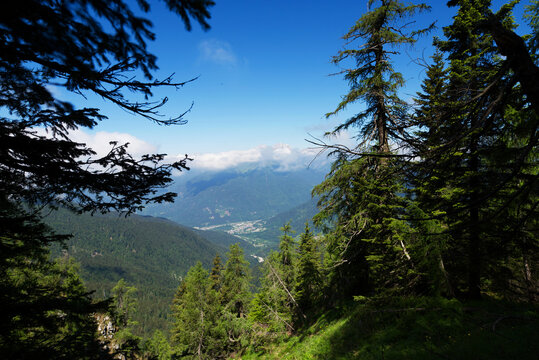 Monte Tersadia salendo da Paluzza.