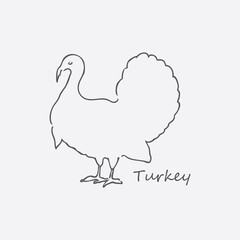 Fototapeta na wymiar Turkey bird outline symbol illustration vector
